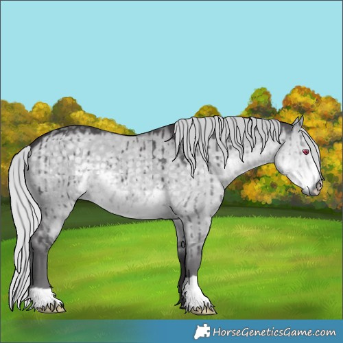 Horse Color:Silver Smoky Grullo Chinchilla Brindle 