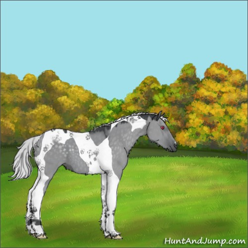 Horse Color:Silver Grullo Chinchilla Tobiano 