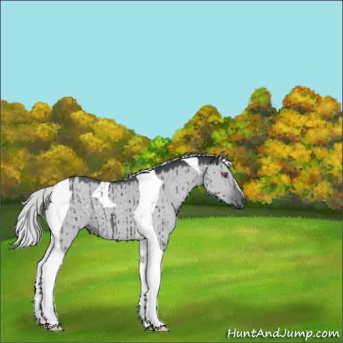 Horse Color:Silver Grullo Chinchilla Tobiano Brindle 