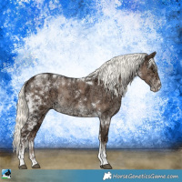 Horse Color:Liver Red Dun Ice Mushroom Sabino Tobiano Rabicano Brindle 