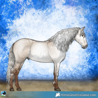 Horse Color:Gray White Spotted Liver Red Dun Mushroom Rabicano 