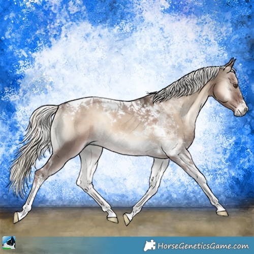 Horse Color:Liver Red Dun Onyx Mushroom Tobiano Rabicano