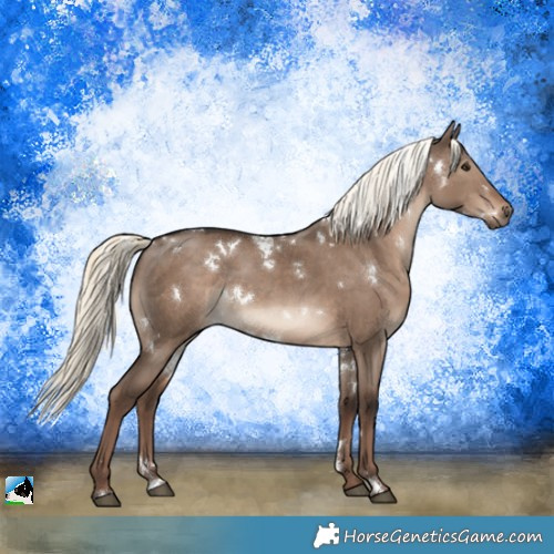 Horse Color:White Spotted Liver Red Dun Mushroom
