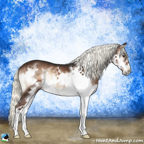 Horse Color:Liver Red Onyx Mushroom Sabino Splash Frame 