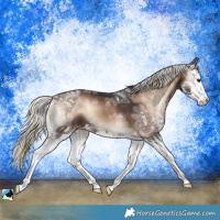 Horse Color:Liver Red Onyx Ice Mushroom Sabino Splash 