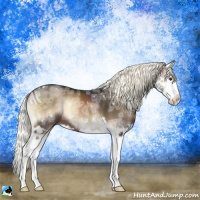 Horse Color:Liver Red Onyx Ice Mushroom Sabino Splash