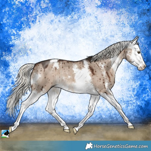Horse Color:Liver Red Dun Mushroom Sabino Splash Brindle