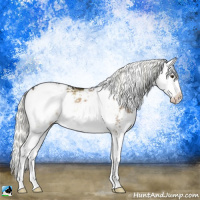 Horse Color:Liver Red Dun Mushroom Sabino Splash Brindle 