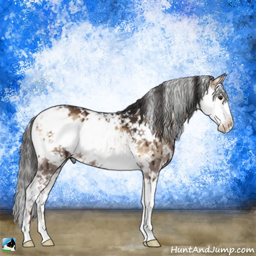 Horse Color:Liver Red Dun Onyx Sabino Brindle 