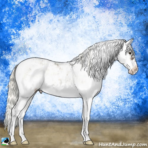 Horse Color:Liver Red Onyx Ice Mushroom Sabino Splash 