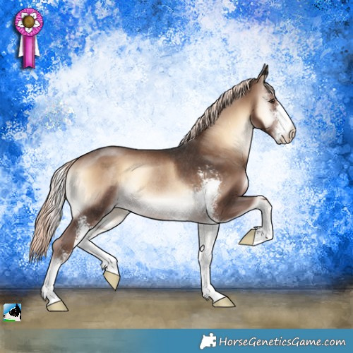 Horse Color:Liver Red Onyx Mushroom Sabino Rabicano 