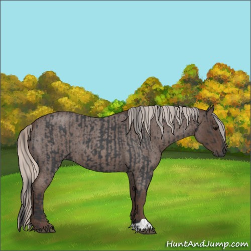 Horse Color:Blue Roan and Silver Blue Roan