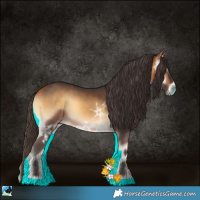 Horse Color:Buckskin Ice Onyx 