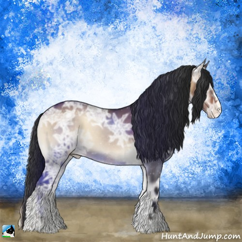 Horse Color:Brown Ice Onyx Appaloosa 