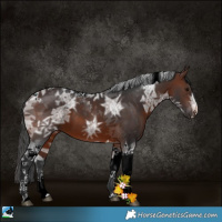 Horse Color:Brown Ice Tobiano 