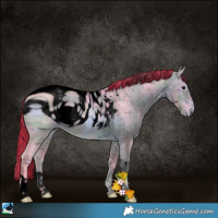 Horse Color:ERROR: UNKNOWN ANOMALY