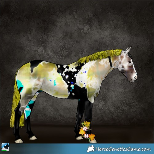 Horse Color:Plaid Bay Ice Onyx Sabino Tobiano