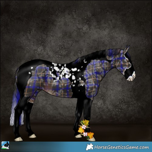 Horse Color:Plaid  Liver Chestnut Ice Splash Tobiano 