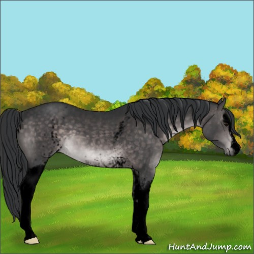 Horse Color:Void Platinum White Spotted Brown Roan 