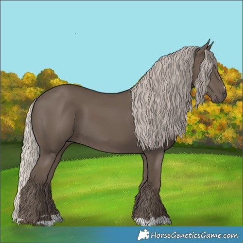 Horse Color:Silver Black 