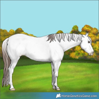 Horse Color:Bay Roan Fewspot Rabicano 