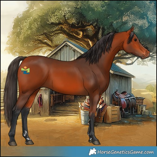 Horse Color:Bay Rabicano 
