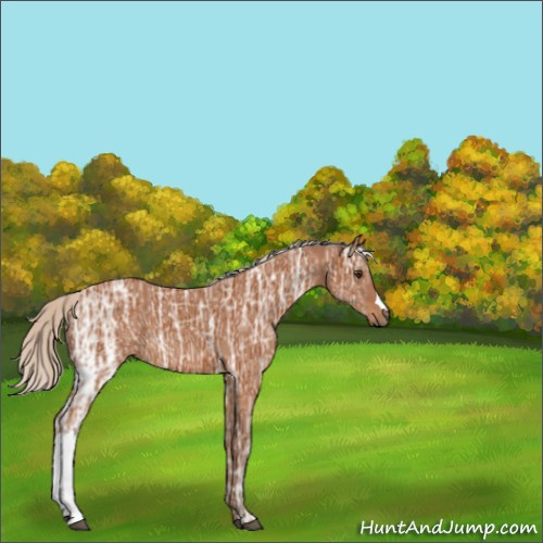 Horse Color:Silver Buckskin Ice 