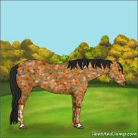 Horse Color:Gray Grullo 