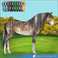 Horse Color:Cremello and Buckskin