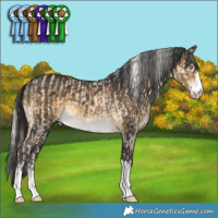 Horse Color:Cremello and Buckskin