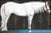Horse Color:Chocolate Palomino Sabino Tobiano Varnish and Cremello Sabino Tobiano Varnish