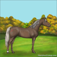 Horse Color:Silver Black 