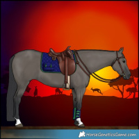 Horse Color:Grullo 