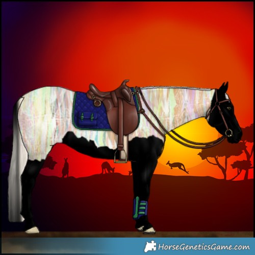 Horse Color:Void Silver Buckskin Ice Splash 