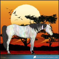 Horse Color:Void Brown Ice Dun 