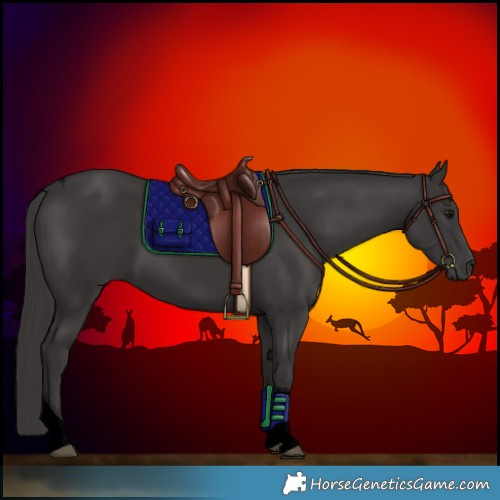 Horse Color:Void Smoky Black Tobiano 