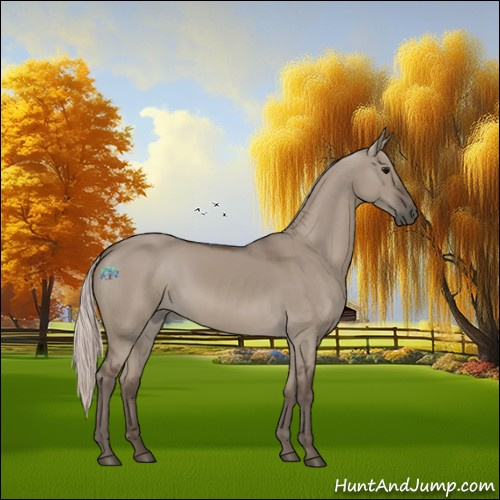 Horse Color:Silver Grullo