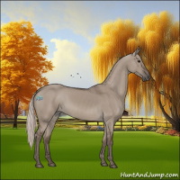Horse Color:Silver Grullo 