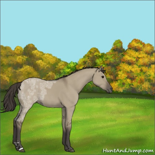 Horse Color:Smoky Grullo Ice Sabino 