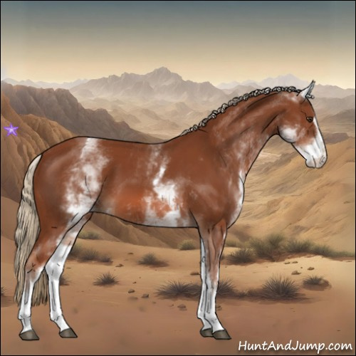 Horse Color:White Spotted Chestnut Sabino 