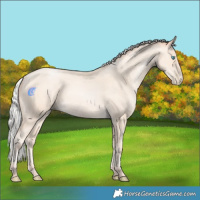 Horse Color:Silver Amber Cream Champagne Pearl 