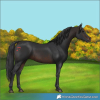 Horse Color:Brown 