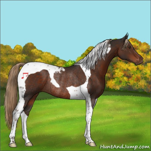Horse Color:Liver Chestnut Tobiano Rabicano 