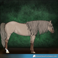 Horse Color:Liver Red Dun Mushroom 