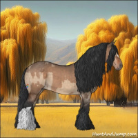 Horse Color:Brown Dun  and Brown Dun 