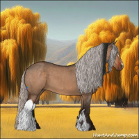 Horse Color:Bay Dun  and Silver Bay Dun 