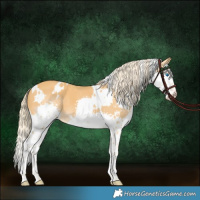 Horse Color:White Spotted Palomino Mushroom Splash 