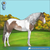 Horse Color:Liver Red Dun Mushroom Tobiano 