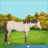 Horse Color:Classic Champagne Dun 