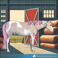 Horse Color:Watercolor Grullo Ice Tobiano Rabicano 